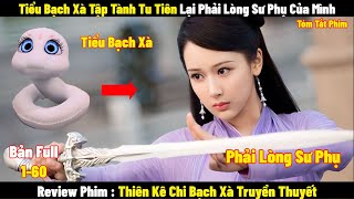 Tiểu Bạch Xà Tập Tành Tu Tiên Lại Phải Lòng Sư Phụ | Full 1-60 | Tóm Tắt Phim Destiny Of White Snake