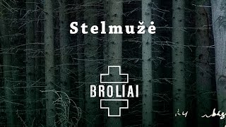 Aistė Smilgevičiūtė ir grupė SKYLĖ - Stelmužė