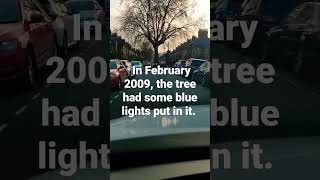 London's streets, tree in the middle of the road #friendship #tree #london #woodgreen #bluelight