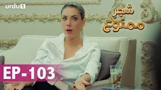 Shajar-e-Mamnu | Episode 103 Urdu/hindi Explanation || Forbidden Fruit || Mahiray official