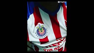 ARRIBA LAS CHIVAS!!