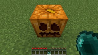 what is inside Minecraft pumpkin?