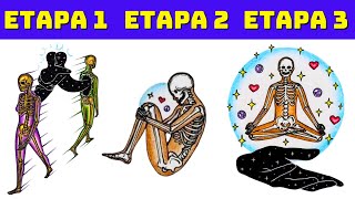 Señales de que Puede Ser Hora de Dejar IR a tu Llama Gemela | ¿Hora de Decir Adiós? 💔