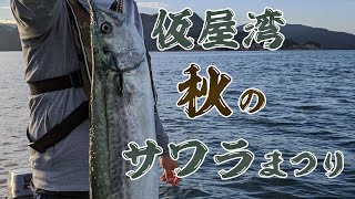 仮屋湾 秋のサワラまつり!!ジグを投げ続ければ大漁間違いなし⁈【メタルマル】