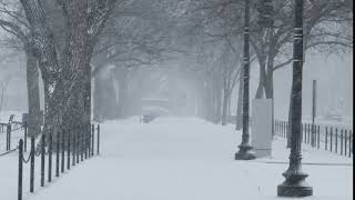 Snowy City Sidewalk