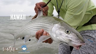 Film: Fly Fishing for Bonefish in "Hawaii on the Fly"