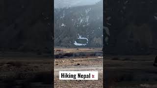 Riding wild horses #nepal #annapurna #shorts #shortsvideo #travel #hiking #trekking #adventure