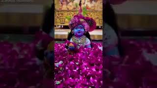 ଗୋବିନ୍ଦ ଜୟ ଜୟ ଗୋପାଳ ଜୟ ଜୟ ॥Happy Janmastami ॥ Lord Sri Krishna ॥