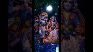 দরজা খুলে দেখি আমার ঠাকুর এসে ছে 🙏🌼🙏 জয় শ্রী কৃষ্ণ রাঁধা মাধব 🙏🪔🙏 #krishnabhajan