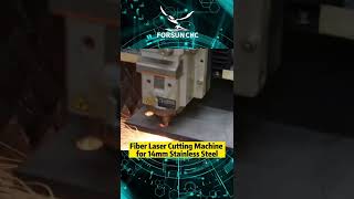 Fiber Laser Cutting Machine for 14mm Stainless Steel