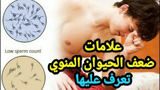 تعرف على علامات ضعف الحيوانات المنوية عند الرجل ؟ معلومات تهمك