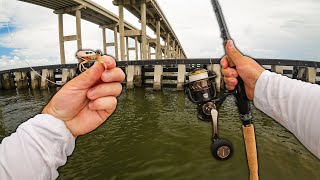 I Dropped Fiddler Crabs Under People's Docks and Bridges for Whatever Bites! (Surprising Results)