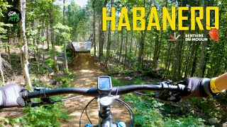 Habanero Freeride Expert TRAIL at Sentiers du Moulin, Quebec MTB at its BEST #shorts