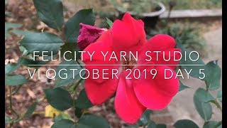 Felicity Yarn Studio Vlogtober 2019 Day 5