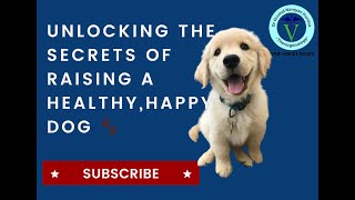 Unleashing Joy: Unlocking the Secrets of Raising a Healthy, Happy Dog 🐾