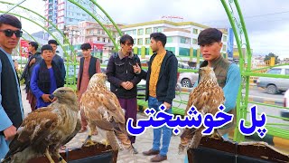 پل خوشبختی (پل سوخته) در گزارش شیرزی.Sherzay Report in Pul Khoshbakhty (Pul Sokhta)