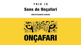 Sons do Onçafari | Som de vazante (grilos)