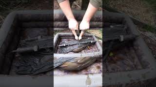 NAJWIĘKSZE KARPIE POLSKICH YOUTUBERÓW part 6 #wędkarstwo #łowienieryb #carpfishing  #imod   #karp