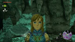 Link Stares at You for 30 Seconds