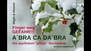 A`BRA CA DA`BRA - Finger weg, GEFAHR!!! ... aber für wen?