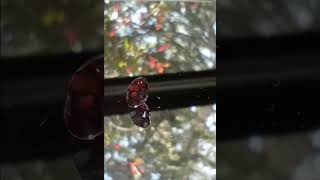 Genuine Red Burma Spinel from thecoveatfoxhollow.com