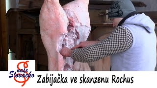 Zabijačka ve skanzenu Rochus