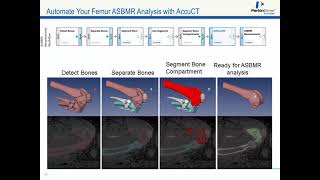 Using microCT to Assess Bone Loss in Preclinical Models