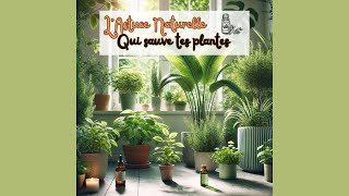 🪴😢🧑‍🌾💚 Tes plantes dépérissent ? Voici l’astuce naturelle qui les sauve...