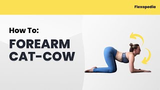 Forearm Cat-Cow