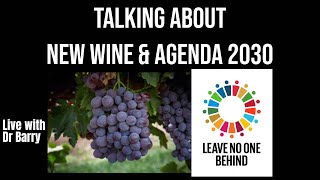 New Wine & Agenda 2030 - Thinking Out Loud