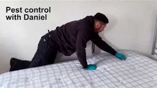 A day in the life of our Pest Control Officer: Daniel