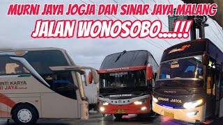 Sinar Jaya Memakai Unit Ex Malang, Murni Jaya Memakai Unit Jogja‼️Dua PO Yang Lagi Sering Roling