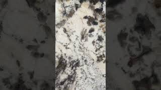 Bianco antico gold granite