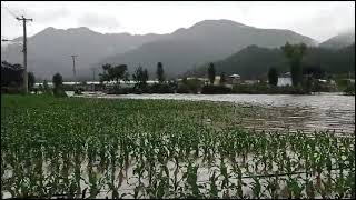 De ultimo minuto Constanza bajo agua por lluvias caidas.