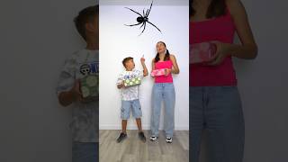 Yes  pokèmon no spider #shorts #toys #dimakidstv