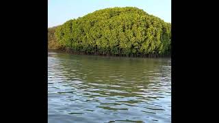 Kadalundi Bird Sanctuary