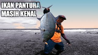 luar biasa || lama tidak mancing, sekalinya turun langsung disambut strike ikan bluefin besar