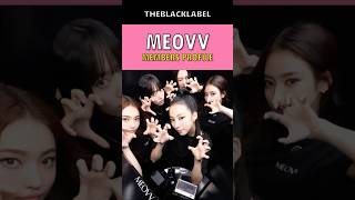 MEOVV Members Profile #meovv #meow