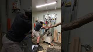 Milling an apple log on the bandsaw | #woodworking #lumber #sawmill #bandsaw