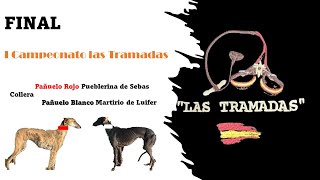 I Campeonato Las Tramadas, semifinales y FINAL 🐇🐕