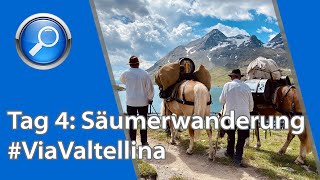 Tag 4: Säumerwanderung von Morteratsch – Berninapass – Alp Grüm – Gavaglia - Poschiavo