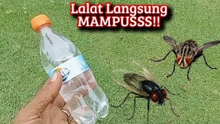 Basmi lalat sampai mampus!! Cukup tambahkan Fanta, Lalat langsung MAMPUS