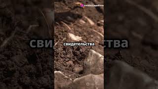 Что обнаружили учёные под пирамидами в Египте #история #факты