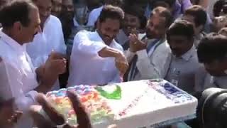 YS Jagan Birthday Cake Cutting Party