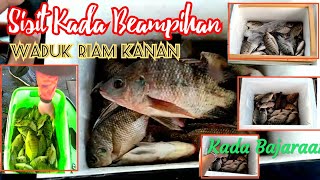 MANCING NILA RIAM KANAN • Mancing Ikan Nila Liar Di Waduk Riam Kanan • [Sisit Barait Sanak]