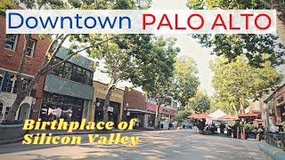 Downtown Palo Alto - Driving & Walking Tour | Birthplace of Silicon Valley | California USA