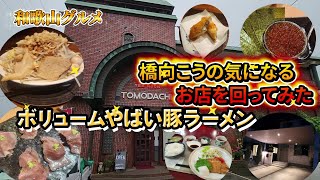 【和歌山グルメ】ボリュームがやばい豚ラーメンと橋向こうの現場がひと段落ついたので付近の新店や気になるお店を紹介