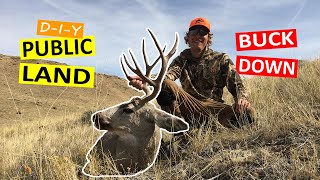 Wyoming MULE DEER hunt DIY {PUBLIC LAND} - SUCCESS!!!