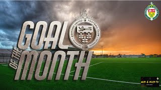 Goal of the month results for the first part of 2024/25 campaign