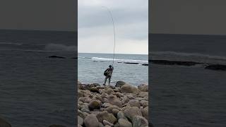 双弓 烏魚+ 大臭肚 拉不停 釣魚高手 北海岸 釣魚 fishing  🎣